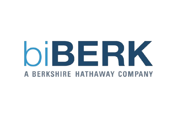 BiBerk_Logo-removebg-preview